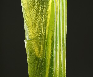 Polanská Anna